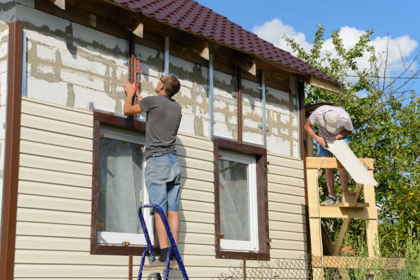 Best Insulated Siding Installation  in Chariton, IA